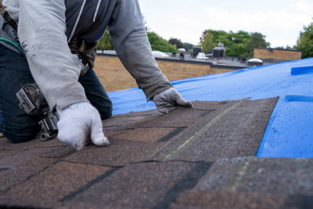 Best Storm Damage Roof Repair  in Waynesboro, GA