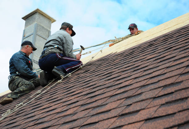 Best New Roof Installation  in Waynesboro, GA